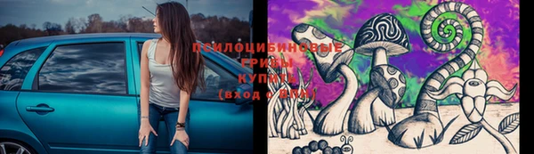бутират Козловка