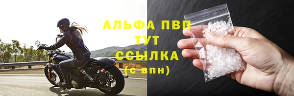 PSILOCYBIN Козельск
