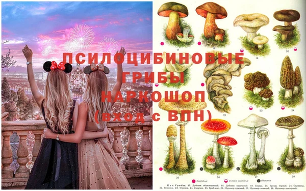 бутират Козловка