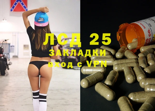 PSILOCYBIN Козельск