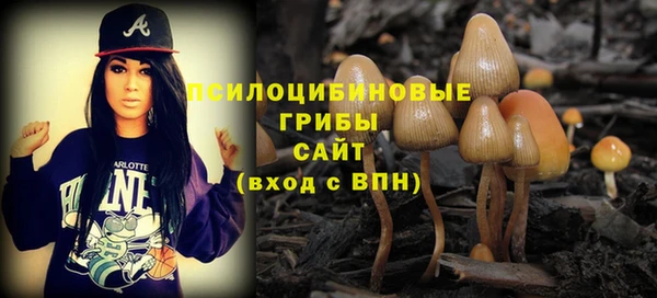 PSILOCYBIN Козельск