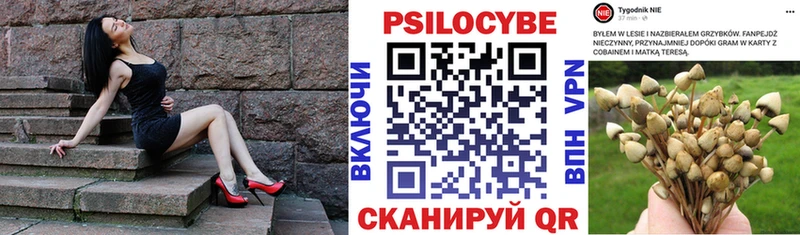 Псилоцибиновые грибы ЛСД  Купить закладки  Галич 